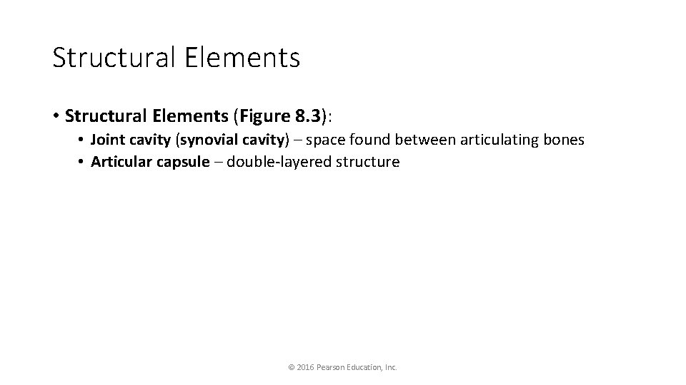 Structural Elements • Structural Elements (Figure 8. 3): • Joint cavity (synovial cavity) –