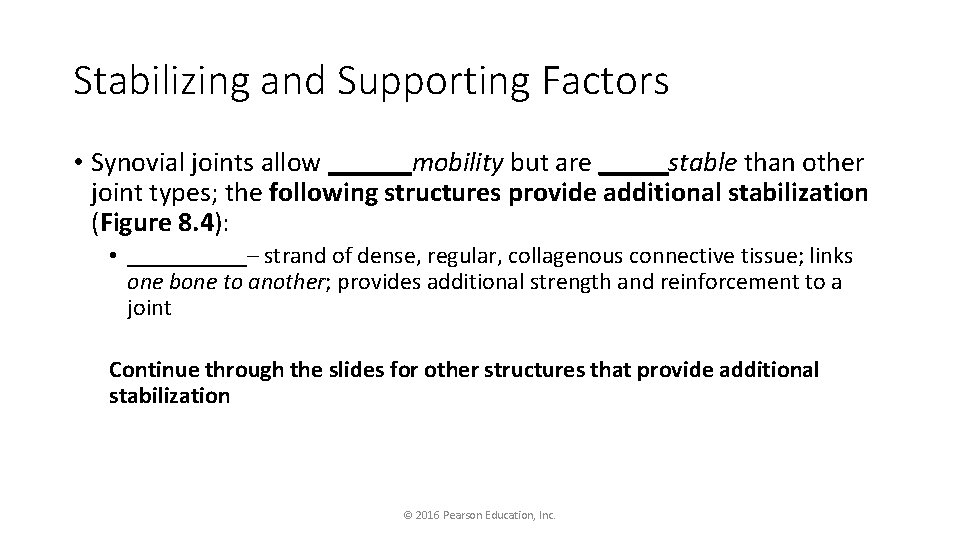 Stabilizing and Supporting Factors • Synovial joints allow ______mobility but are _____stable than other