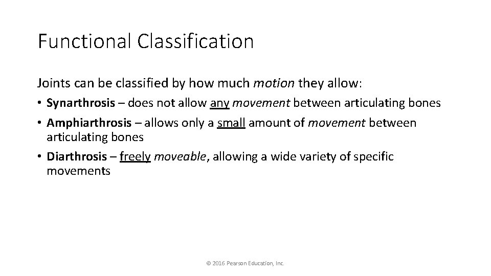 Functional Classification Joints can be classified by how much motion they allow: • Synarthrosis