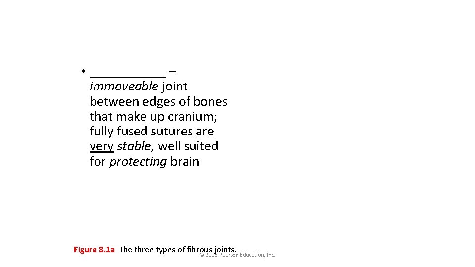  • ______ – immoveable joint between edges of bones that make up cranium;