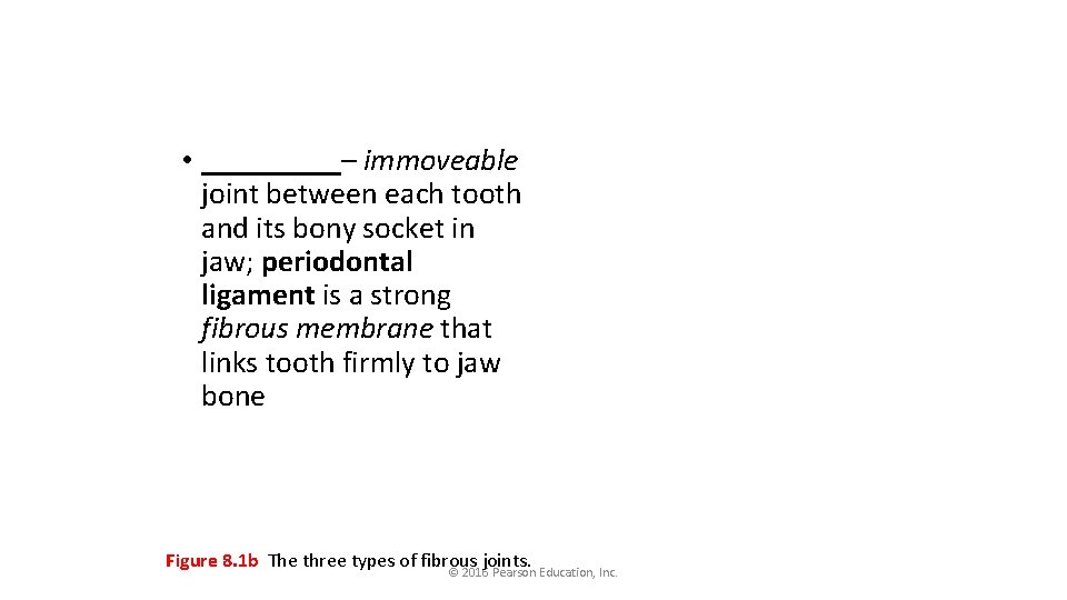  • _____– immoveable joint between each tooth and its bony socket in jaw;