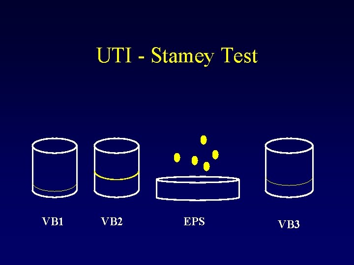 UTI - Stamey Test VB 1 VB 2 EPS VB 3 