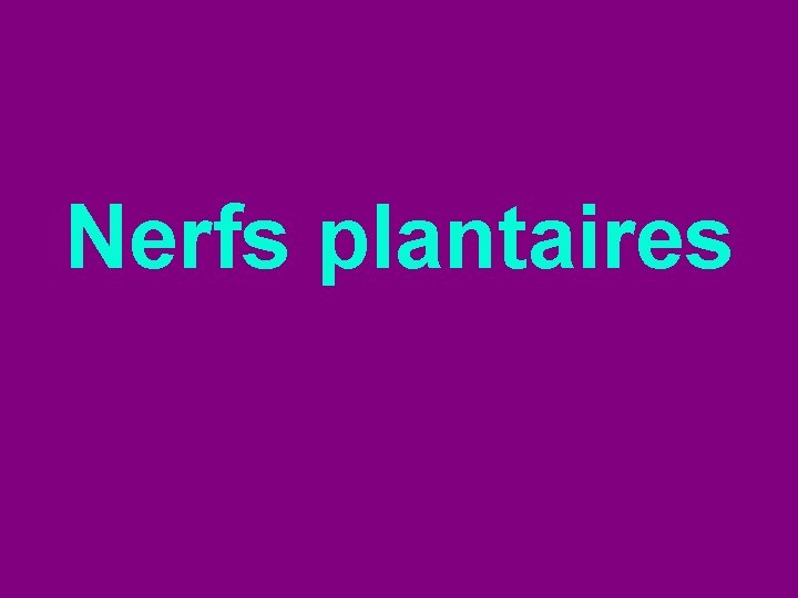 Nerfs plantaires 