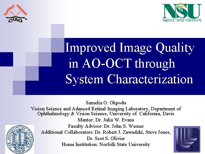 Improved Image Quality in AO-OCT through System Characterization Samelia O. Okpodu Vision Science and