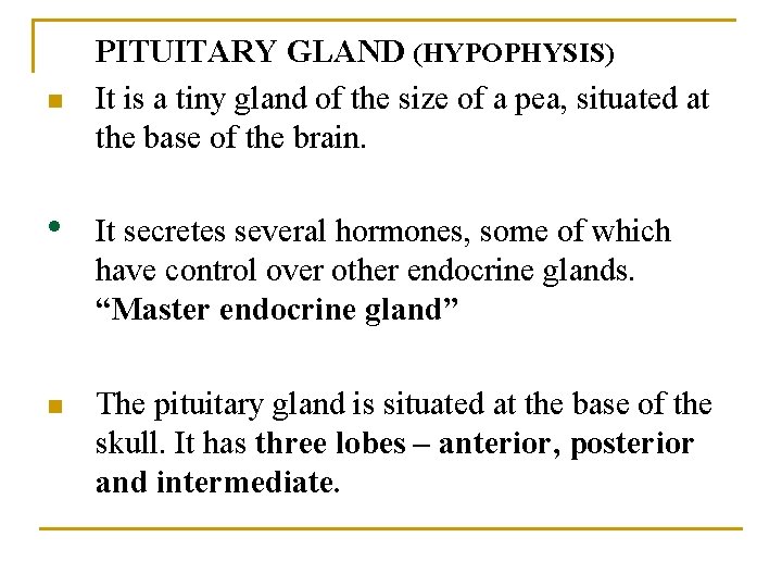 n • n PITUITARY GLAND (HYPOPHYSIS) It is a tiny gland of the size