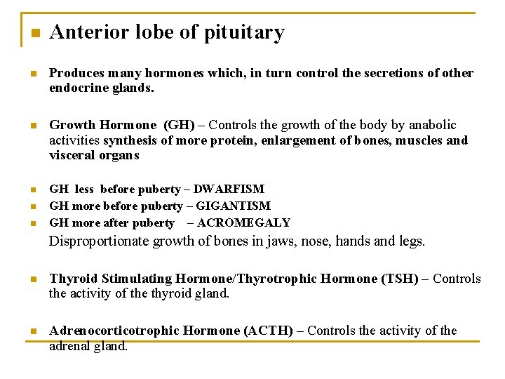 n Anterior lobe of pituitary n Produces many hormones which, in turn control the