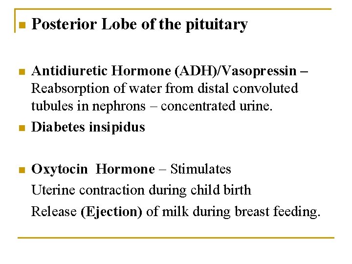 n Posterior Lobe of the pituitary n Antidiuretic Hormone (ADH)/Vasopressin – Reabsorption of water