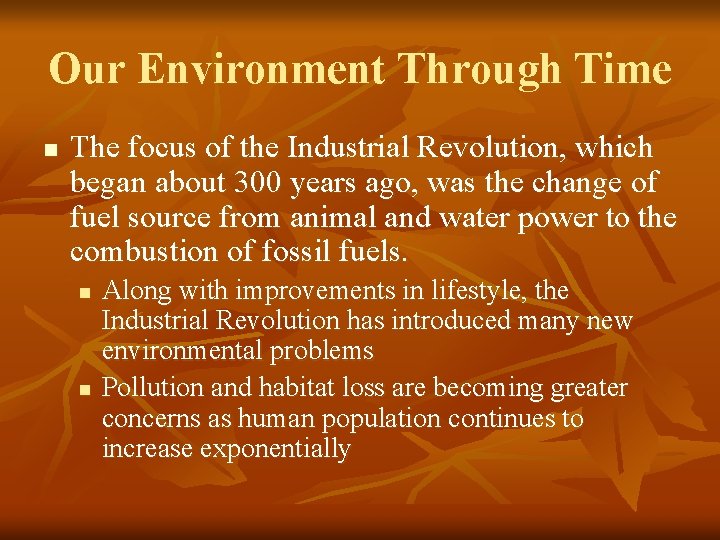 Our Environment Through Time n The focus of the Industrial Revolution, which began about