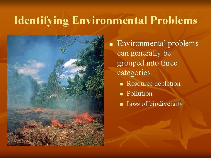 Identifying Environmental Problems n Environmental problems can generally be grouped into three categories. n