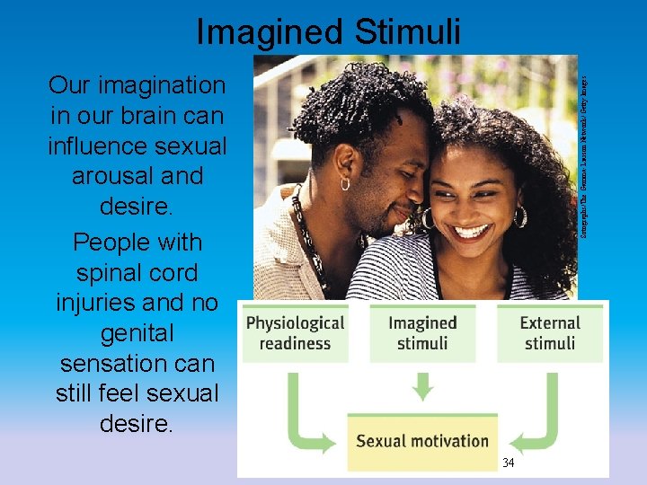 Imagined Stimuli Sotographs/The Gamma-Liaison Network/ Getty Images Our imagination in our brain can influence