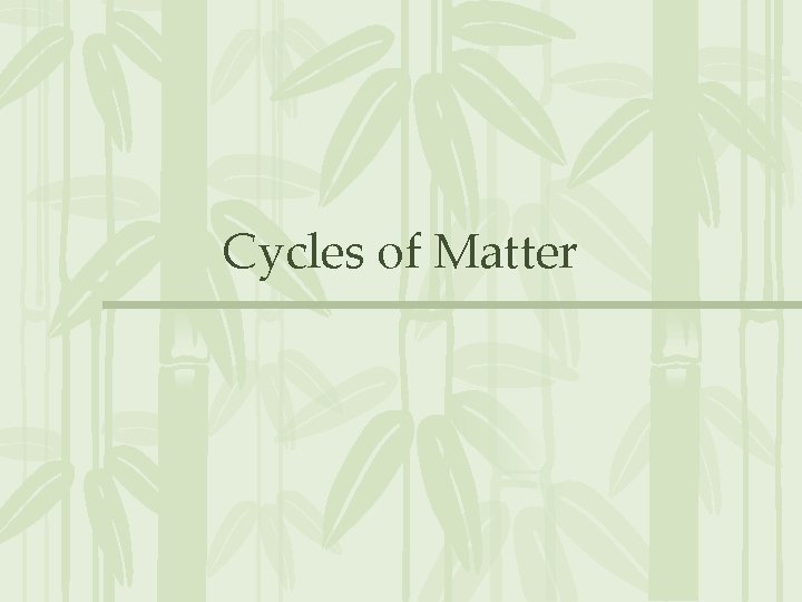 Cycles of Matter 