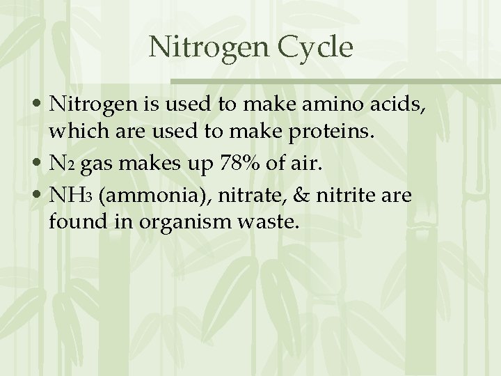 Nitrogen Cycle • Nitrogen is used to make amino acids, which are used to