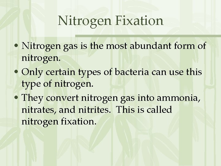 Nitrogen Fixation • Nitrogen gas is the most abundant form of nitrogen. • Only