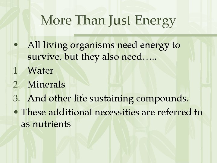 More Than Just Energy • All living organisms need energy to survive, but they