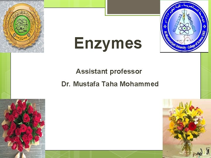 Enzymes Assistant professor Dr. Mustafa Taha Mohammed 