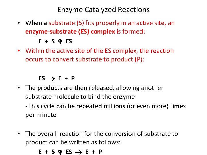 Enzyme Catalyzed Reactions • When a substrate (S) fits properly in an active site,