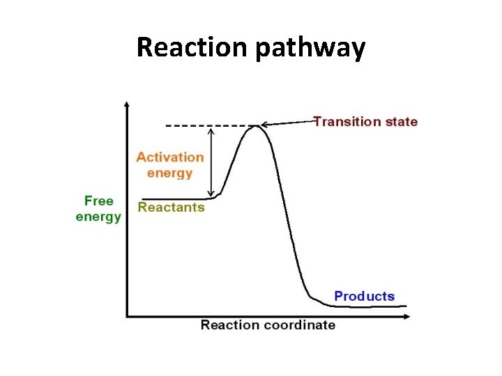 Reaction pathway 