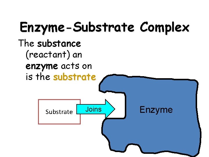 Enzyme-Substrate Complex The substance (reactant) an enzyme acts on is the substrate Substrate Joins