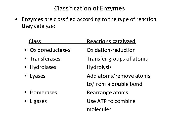 Classification of Enzymes • Enzymes are classified according to the type of reaction they