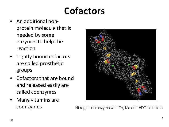 Cofactors • An additional nonprotein molecule that is needed by some enzymes to help