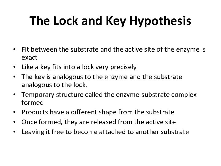 The Lock and Key Hypothesis • Fit between the substrate and the active site