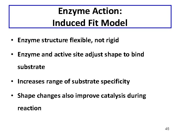 Enzyme Action: Induced Fit Model • Enzyme structure flexible, not rigid • Enzyme and