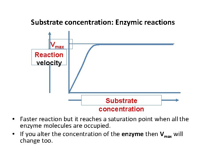 Substrate concentration: Enzymic reactions Vmax Reaction velocity Substrate concentration • Faster reaction but it