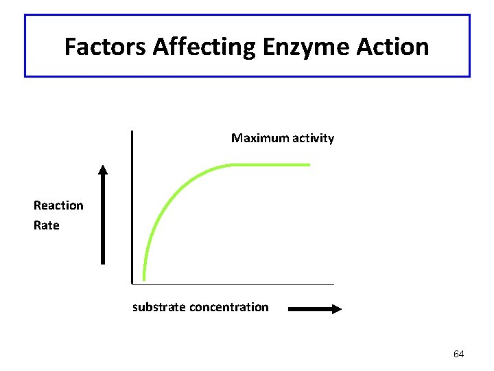 Factors Affecting Enzyme Action Maximum activity Reaction Rate substrate concentration 64 