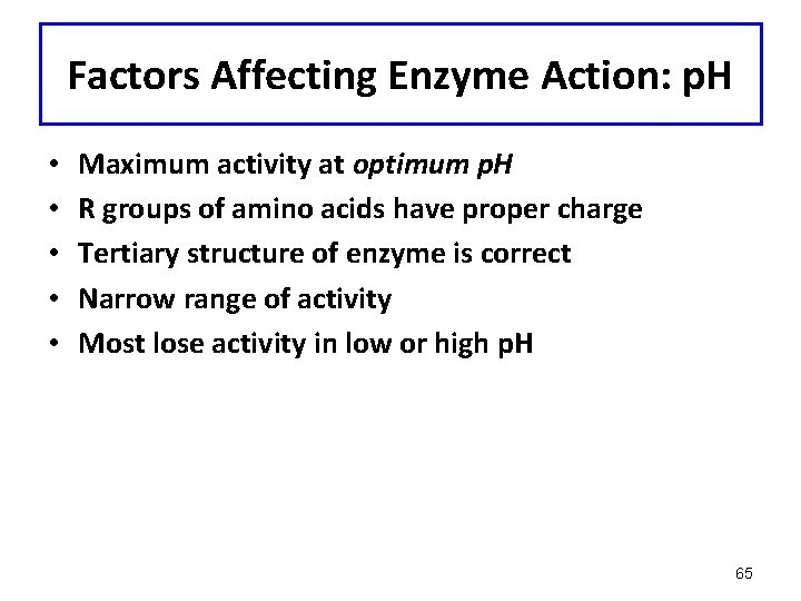 Factors Affecting Enzyme Action: p. H • • • Maximum activity at optimum p.