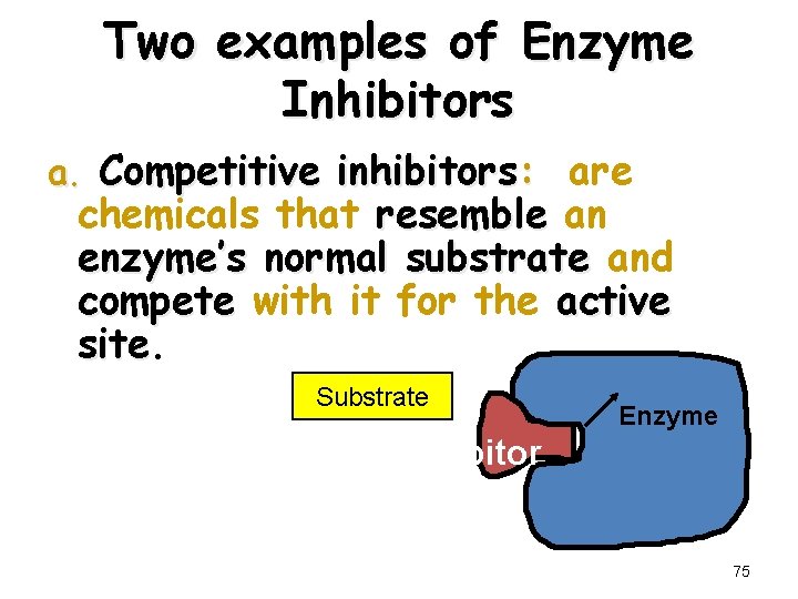 Two examples of Enzyme Inhibitors a. Competitive inhibitors: are chemicals that resemble an enzyme’s