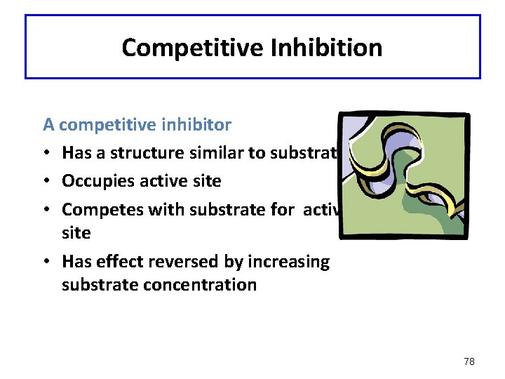 Competitive Inhibition A competitive inhibitor • Has a structure similar to substrate • Occupies