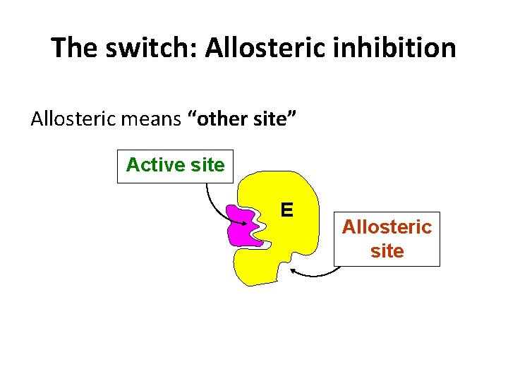 The switch: Allosteric inhibition Allosteric means “other site” Active site E Allosteric site 