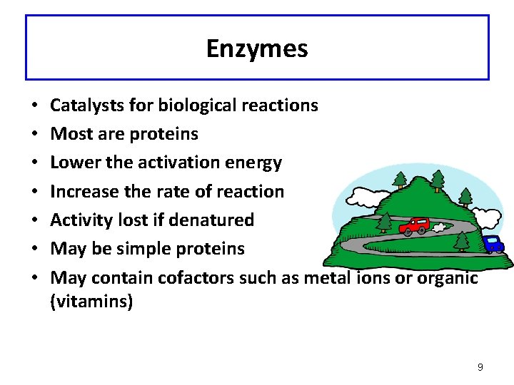 Enzymes • • Catalysts for biological reactions Most are proteins Lower the activation energy