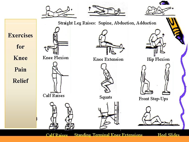 Straight Leg Raises: Supine, Abduction, Adduction Exercises for Knee Flexion Knee Extension Hip Flexion