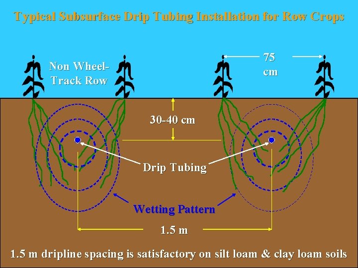 Typical Subsurface Drip Tubing Installation for Row Crops 75 cm Non Wheel- Track Row