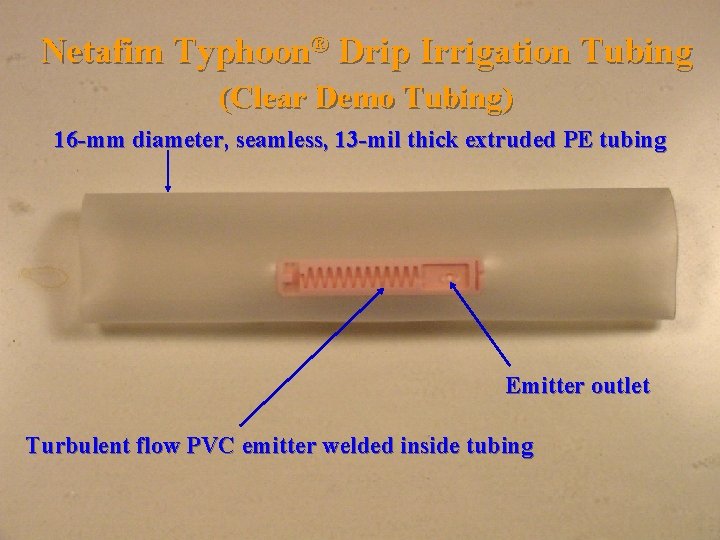 Netafim Typhoon® Drip Irrigation Tubing (Clear Demo Tubing) 16 -mm diameter, seamless, 13 -mil