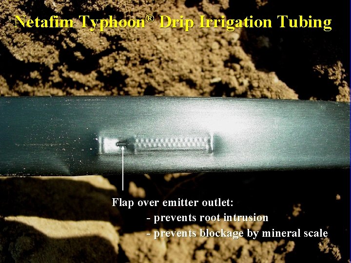 Netafim Typhoon® Drip Irrigation Tubing Flap over emitter outlet: - prevents root intrusion -