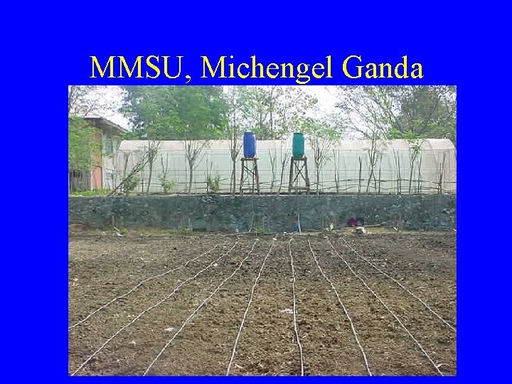 MMSU, Michengel Ganda MMSU, Michengel Ganda