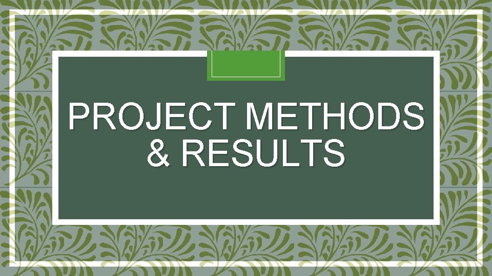 PROJECT METHODS & RESULTS 