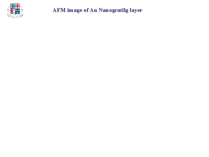 AFM image of Au Nanogratilg layer 