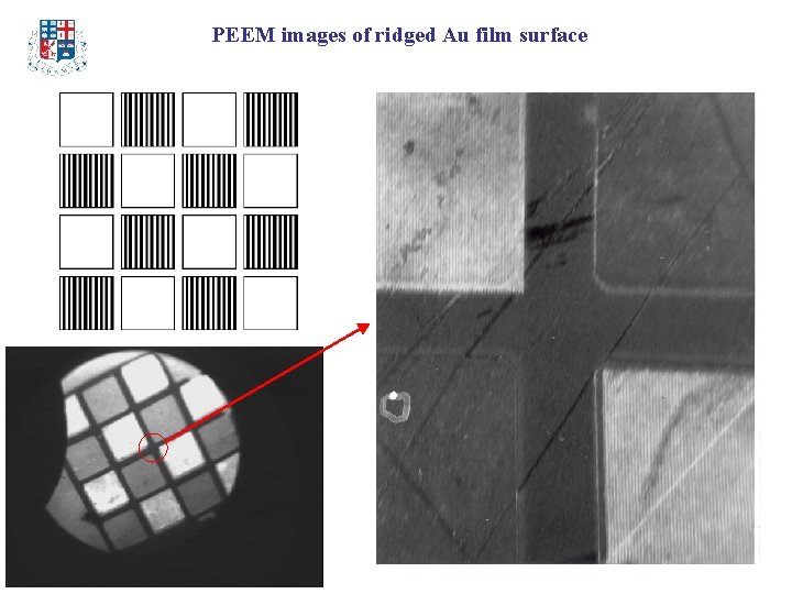 PEEM images of ridged Au film surface 