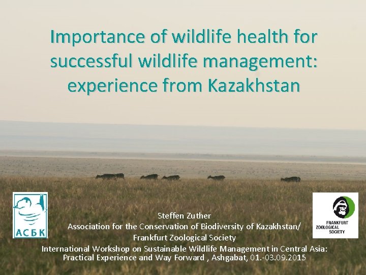 Importance of wildlife health for successful wildlife management: experience from Kazakhstan Steffen Zuther Association