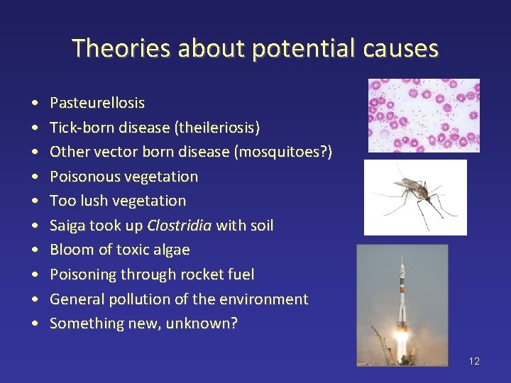 Theories about potential causes • • • Pasteurellosis Tick-born disease (theileriosis) Other vector born