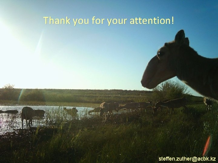 Thank you for your attention! 18 steffen. zuther@acbk. kz 