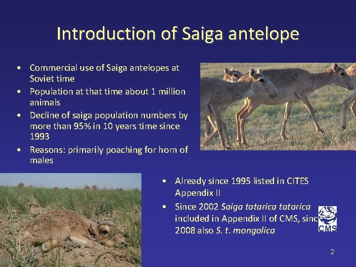 Introduction of Saiga antelope • Commercial use of Saiga antelopes at Soviet time •