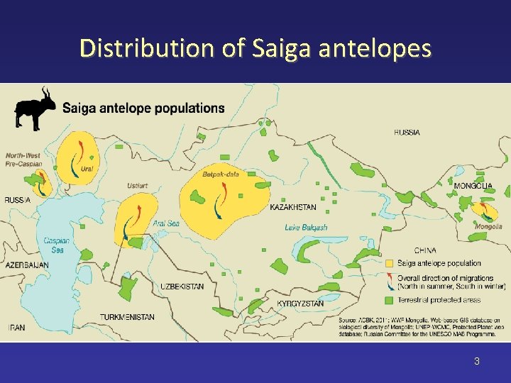 Distribution of Saiga antelopes 3 