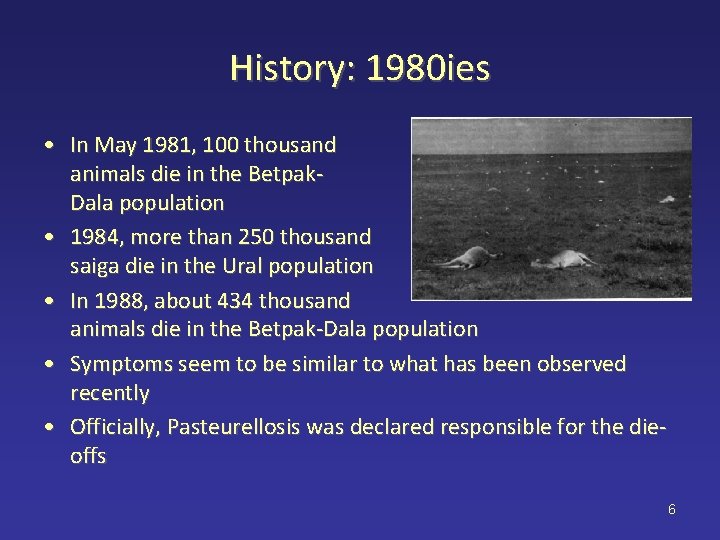 History: 1980 ies • In May 1981, 100 thousand animals die in the Betpak.