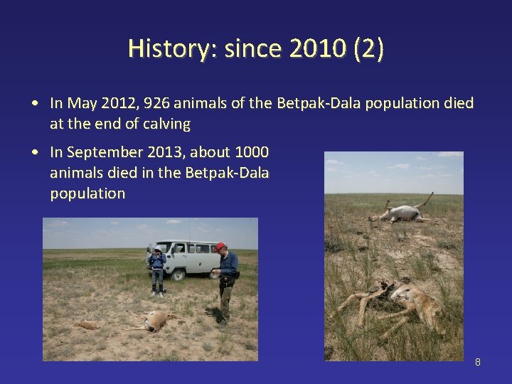 History: since 2010 (2) • In May 2012, 926 animals of the Betpak-Dala population