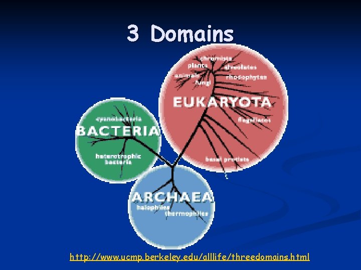 3 Domains http: //www. ucmp. berkeley. edu/alllife/threedomains. html 3 Domains http: //www. ucmp. berkeley. edu/alllife/threedomains. html