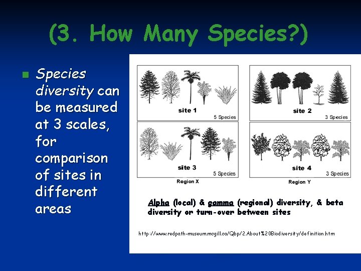 (3. How Many Species? ) n Species diversity can be measured at 3 scales,